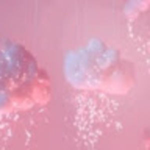 Meet your Posher, Charley